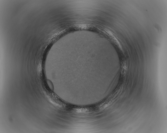 X0000112020500200908311157