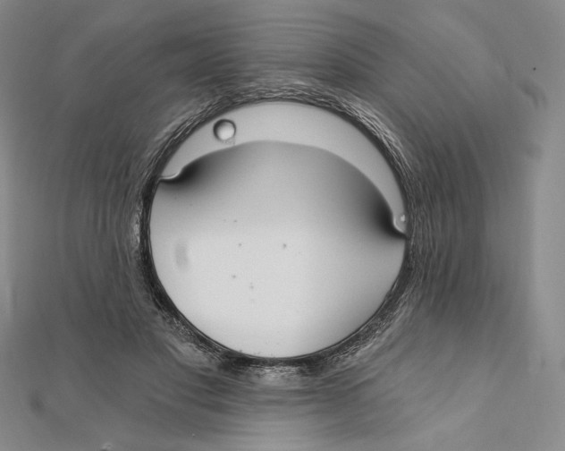 X0000112020501200908311157