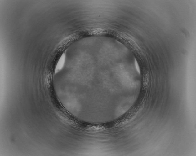 X0000112020503200908311157