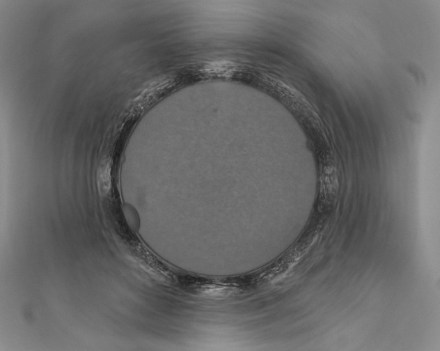 X0000112020504200908311157