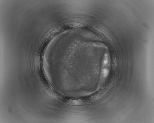 X0000112020506200908311157