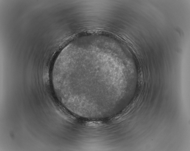 X0000112020508200908311157