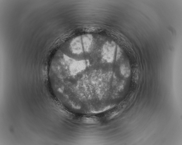 X0000112020510200908311157