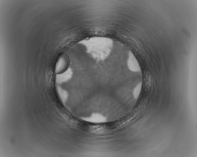 X0000112020511200908311157