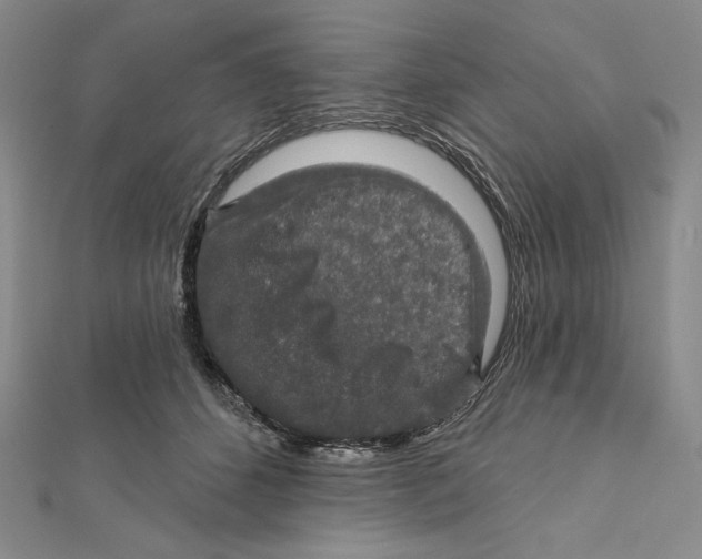 X0000112020512200908311157