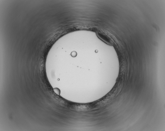 X0000112020513200908311157