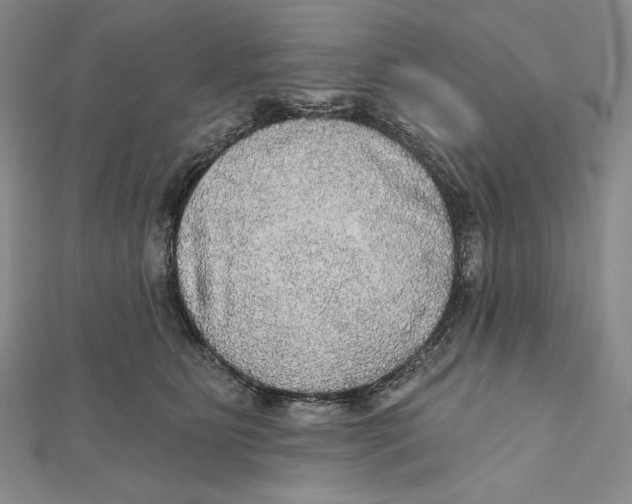 X0000112020515200908311157