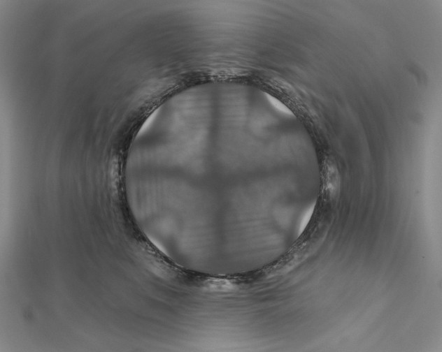 X0000112020519200908311157