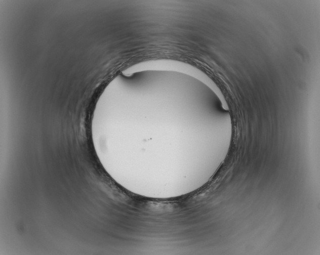 X0000112020520200908311157