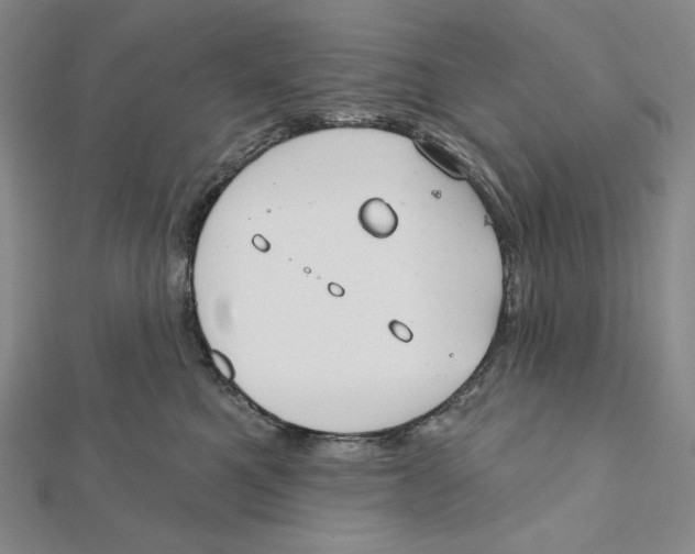 X0000112020521200908311157