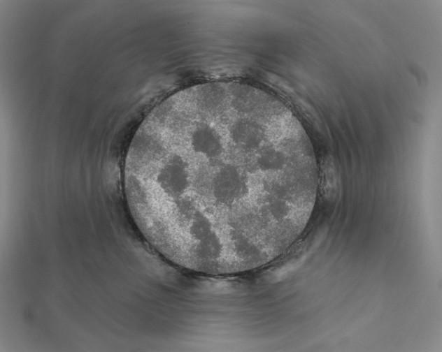 X0000112020523200908311157