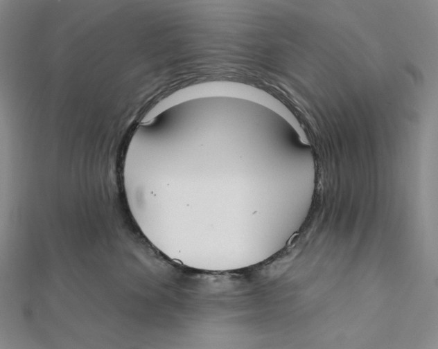 X0000112020524200908311157