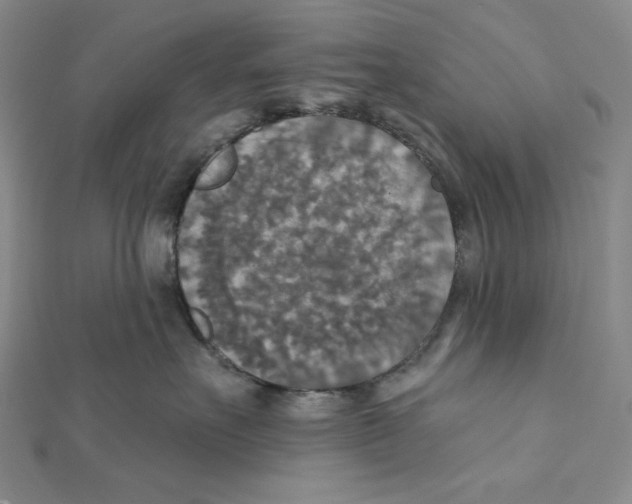 X0000112020527200908311157