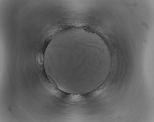 X0000112020528200908311157