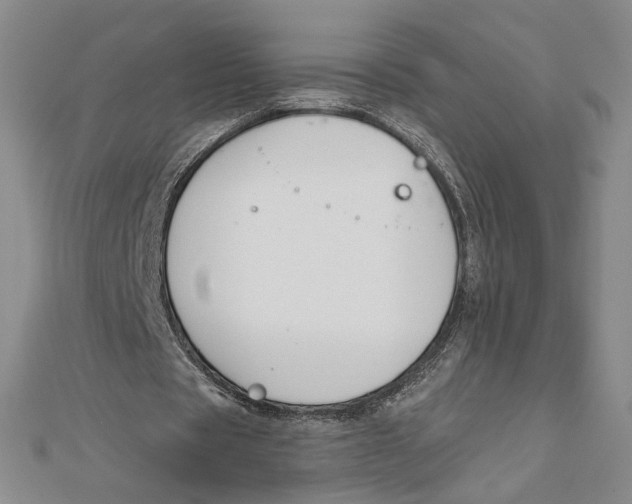 X0000112020529200908311156