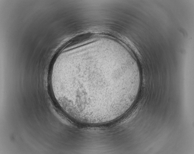 X0000112020530200908311156