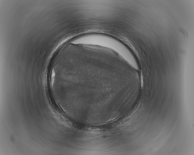 X0000112020531200908311156