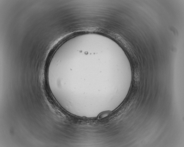 X0000112020532200908311156