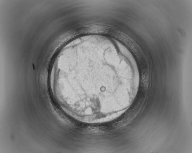 X0000112020534200908311156