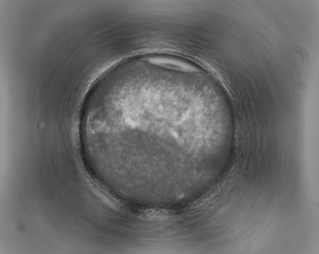 X0000112020535200908311156