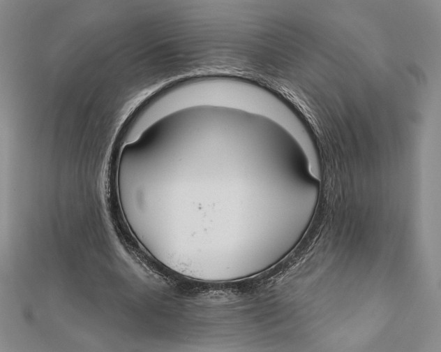 X0000112020536200908311156