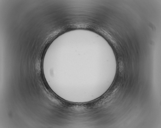 X0000112020537200908311156