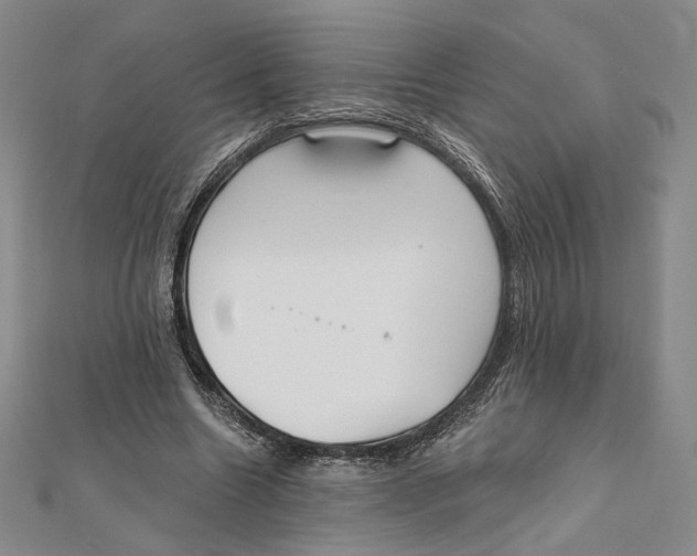 X0000112020538200908311156