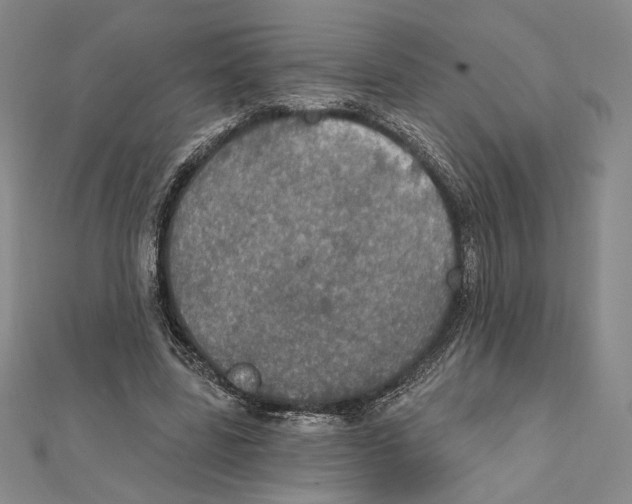 X0000112020539200908311156