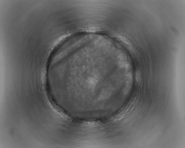 X0000112020540200908311156