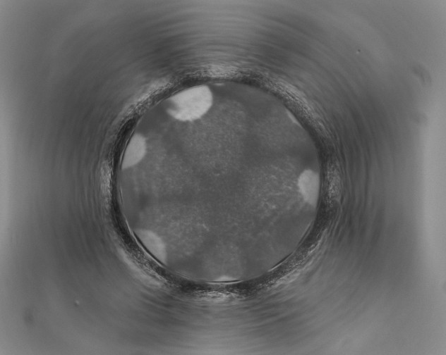 X0000112020542200908311156