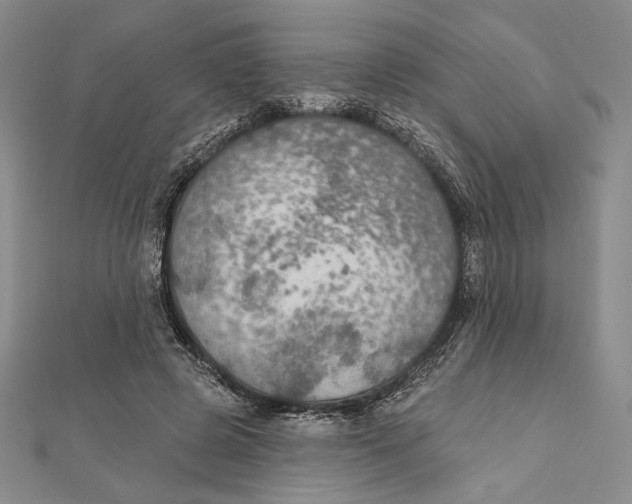 X0000112020545200908311156