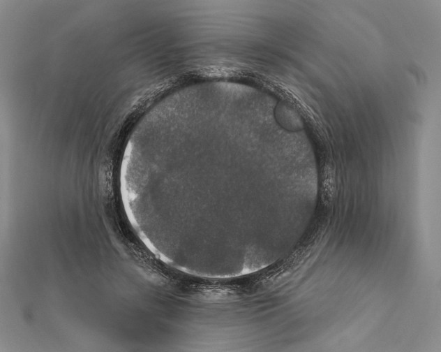 X0000112020547200908311156