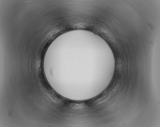 X0000112020548200908311157