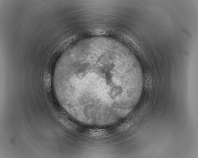 X0000112020549200908311157