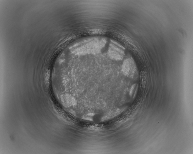 X0000112020550200908311157