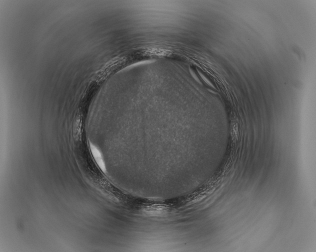 X0000112020551200908311157