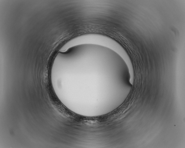 X0000112020552200908311157