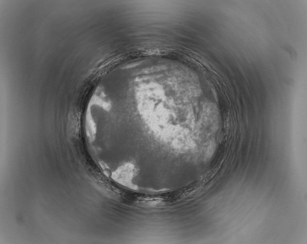 X0000112020554200908311157