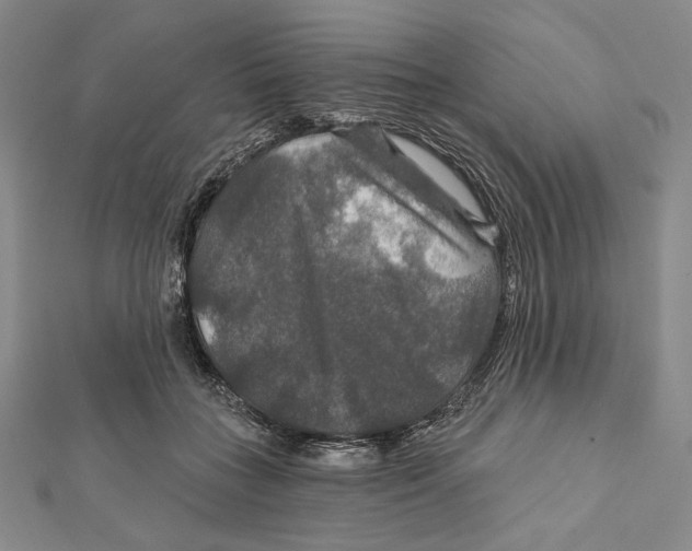 X0000112020555200908311157