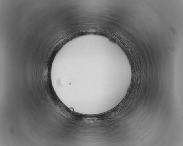 X0000112020556200908311157