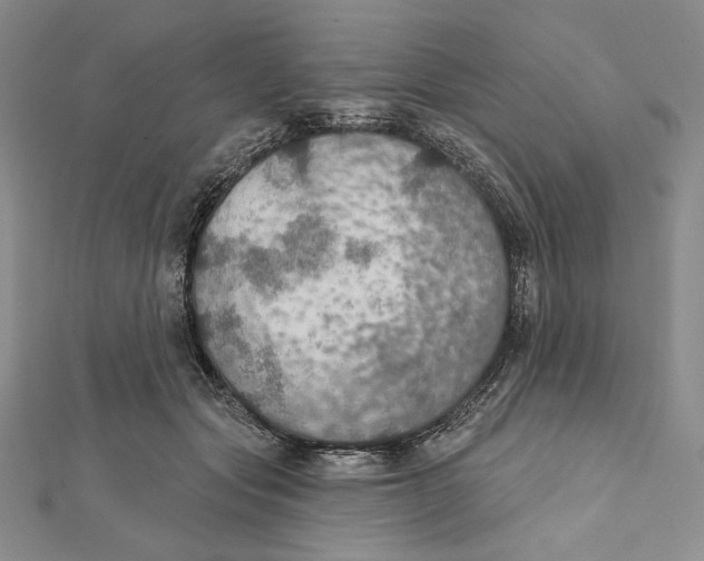 X0000112020557200908311157