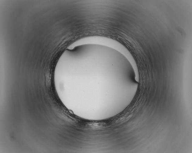 X0000112020558200908311157