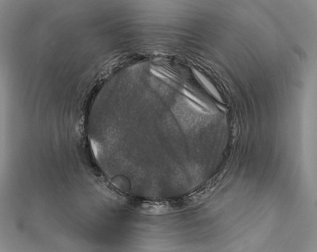 X0000112020559200908311157