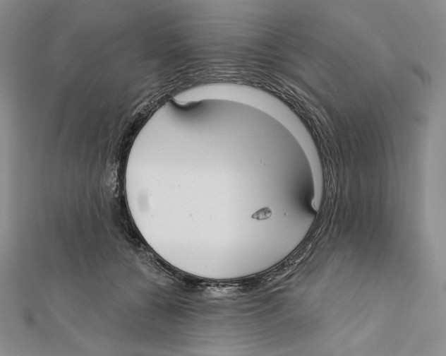 X0000112020560200908311157