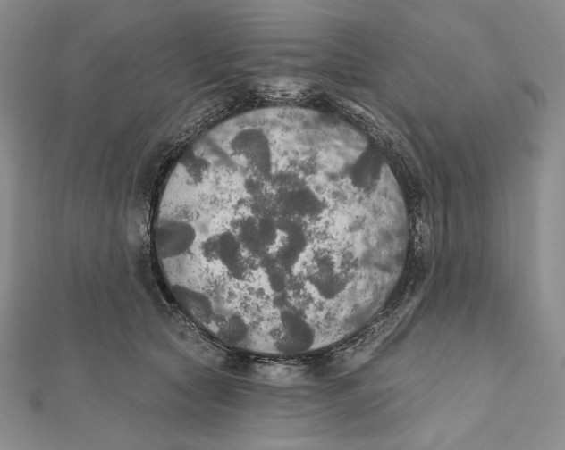 X0000112020561200908311157