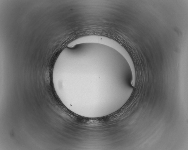 X0000112020562200908311157