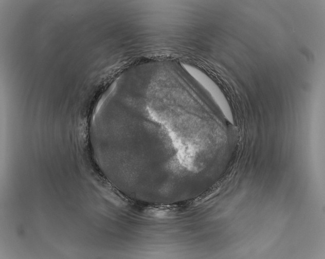 X0000112020563200908311157