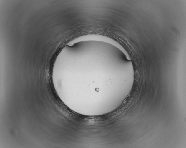 X0000112020564200908311157