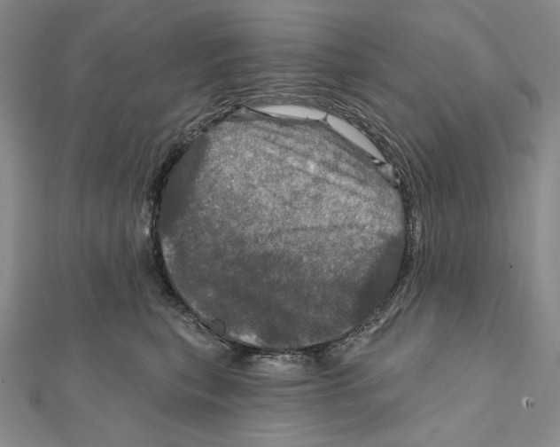 X0000112020567200908311157