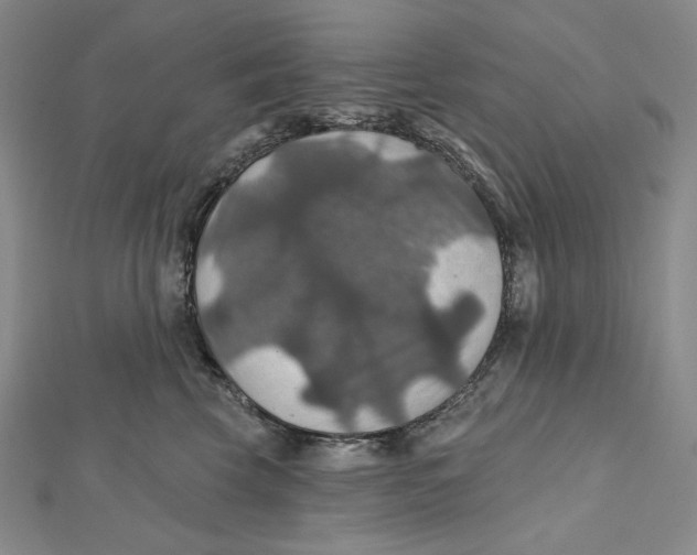 X0000112020569200908311157